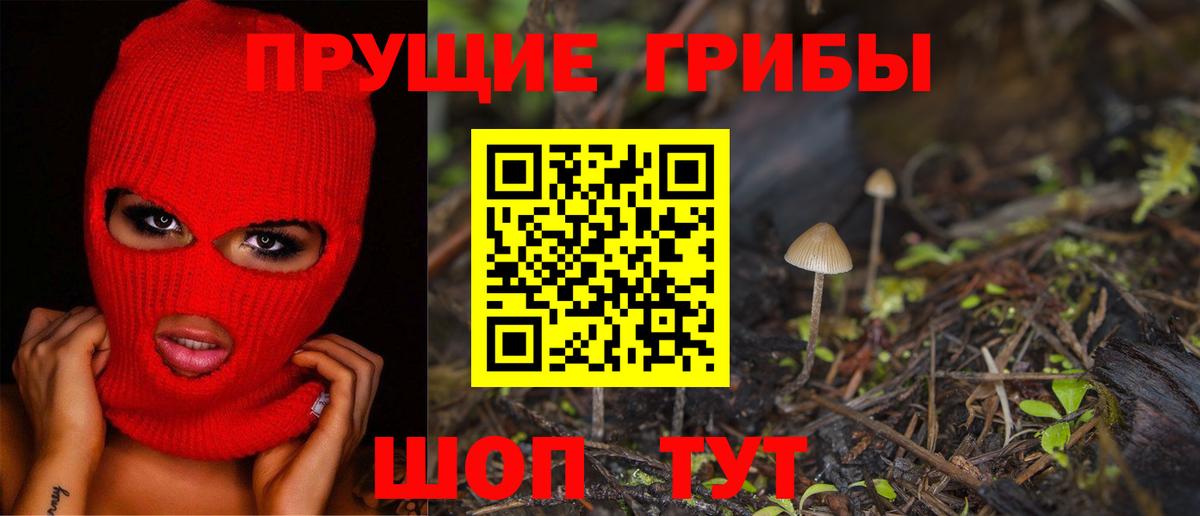 Алушта  Галлюциногенные грибы Psilocybine cubensis  Вход с VPN 