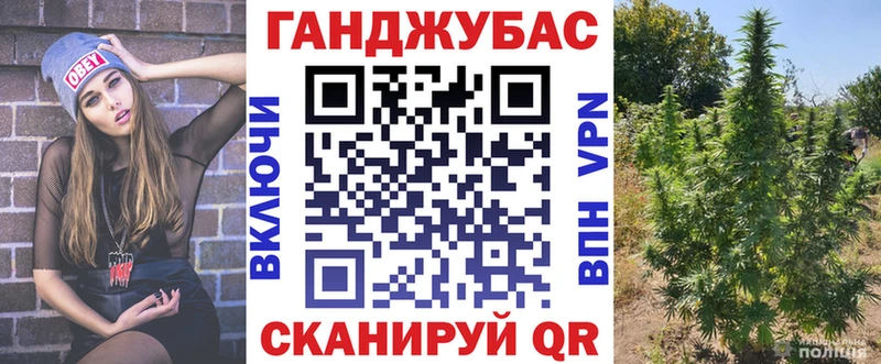 это Telegram  где купить наркоту  Алушта  Бошки Шишки Amnesia  ОМГ ОМГ онион 